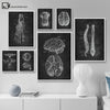 Load image into Gallery viewer, Lautréamont - Human Anatomy Artwork Vintage Sketches - DarkAcademic