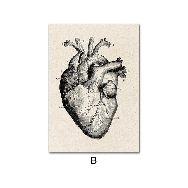 Eyre - Human Anatomy Vintage Sketch Prints - DarkAcademic