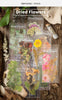 Load image into Gallery viewer, Dante Alighieri - Dried Flower Sticker Stationary - DarkAcademic