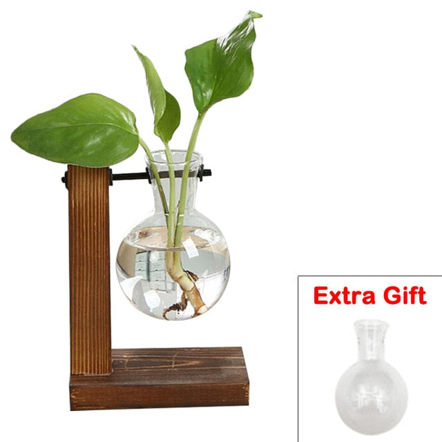 Hodgson-Burnett - Hydroponic Plant Vases - DarkAcademic