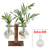 Hodgson-Burnett - Hydroponic Plant Vases - DarkAcademic