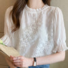 Twain - Dark Academia Fairy Chiffon Long Sleeve Blouse - TheDarkAcademic